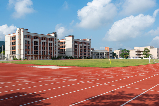 Good Resilient Eco Sports Flooring Jogging Track Flooring Colorful Track Athletic Center