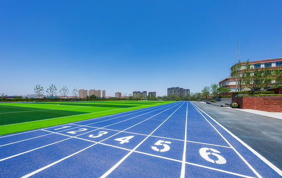 Recycled Synthetic Running Track Surface Material EPDM Rubber Granules