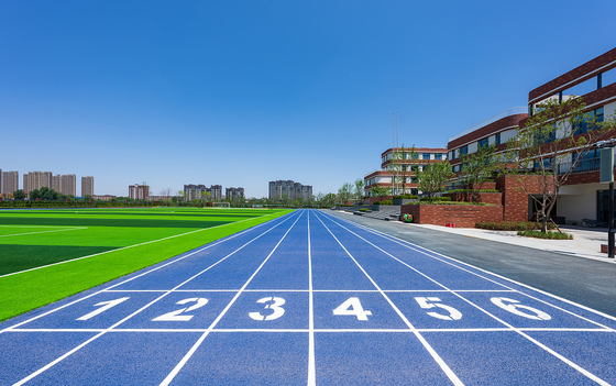 Recycled Synthetic Running Track Surface Material EPDM Rubber Granules