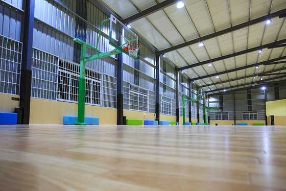 Aerobics Gym PVC Sports Flooring 3.5mm Anti Fatigue Colorful Waterproof