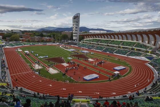 Finish Coat Sandwich Running Track Cushioned Athletic Sports Stadium