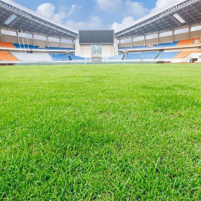 All Weather Football Artificial Turf Grass PE Fibers Fake Lawn 15MM Pile Height