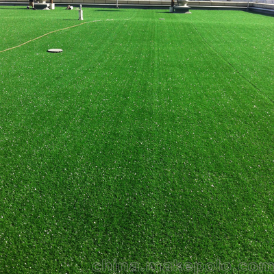 Apple Green 20mm Artificial Grass Roll Field Hockey UV Resistance Artificial Turf Mats