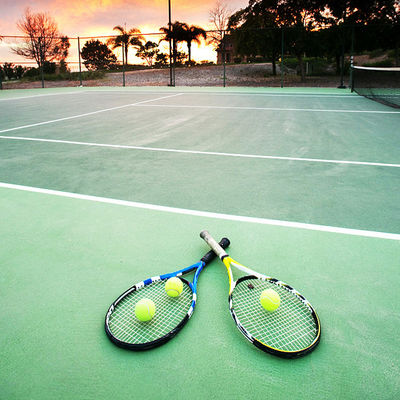 Elastic Monomer Poly Sports Court Paint Acrylic Badminton Court Flooring