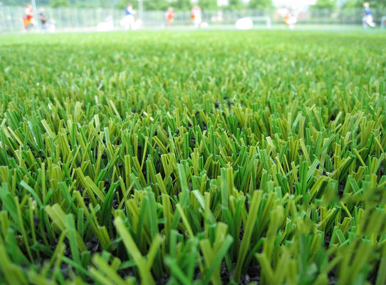 PE 35mm 3/8'' Artificial Turf Grass 21000 Dtex UV Resistant