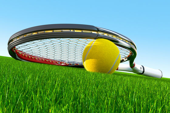 Flat Shape Green Plastic 20mm Artificial Turf Grass Roll Tennis Sport