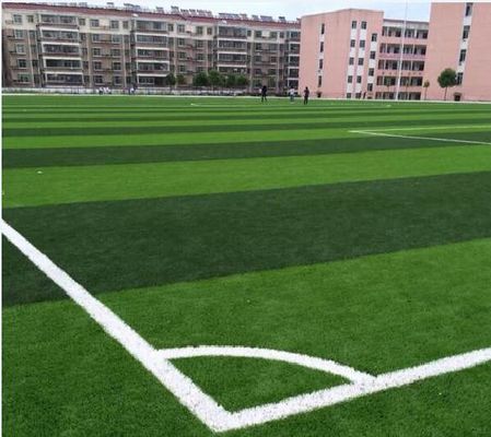 Soft Artificial Turf Grass Sports Flooring 2D Spine Field Apple Green 50mm