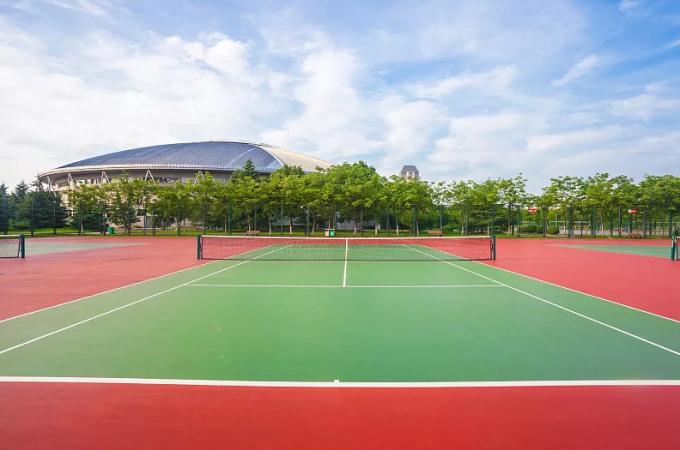 Multifunctional Seamless Outdoor Sports Surfaces 4mm UV-Resistance 1