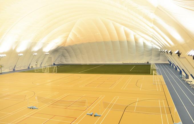 Healthy School Indoor  Durable PVC Sports Flooring For Handball Court 0