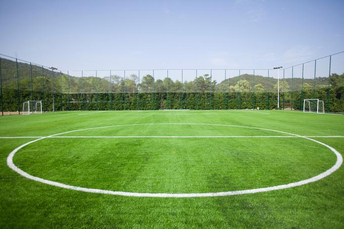 Wear-Resistant Artificial Grass Sports Flooring Backyard 10mm 70mm 1