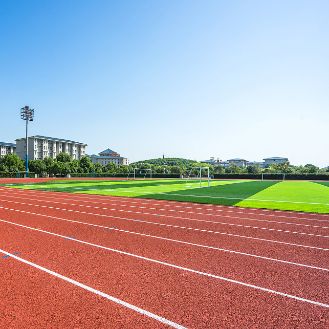 2.5mm Synthetic Sports Flooring Prefabricated System Running Track Multicolor 2
