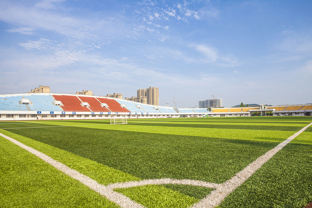SGS Certificate Artificial Turf Grass Synthetic Carpet Football Court