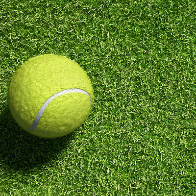 Synthetic Artificial Turf Grass For Cricket Pitch 25mm Thickness Double Backing