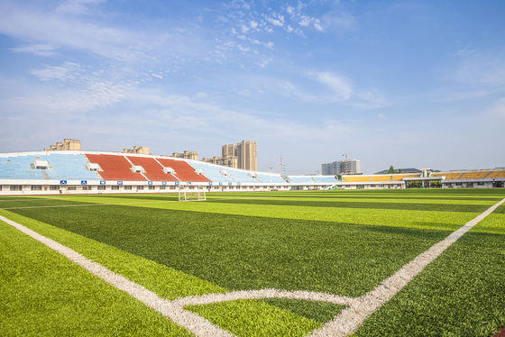 SGS Certificate Artificial Turf Grass Synthetic Carpet Football Court