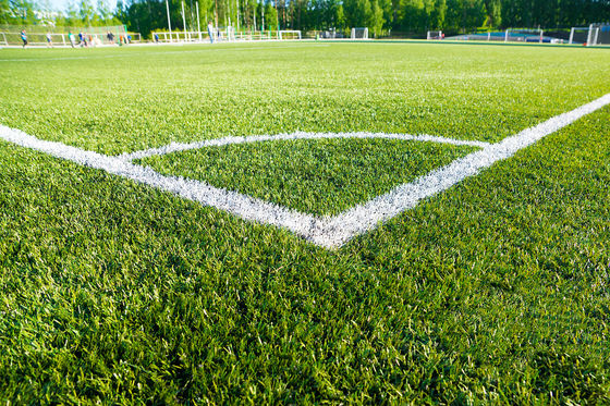 buy Eco Friendly 3/8&#039;&#039; Artificial Turf Grass Football Field Lawns Non Toxic online manufacturer